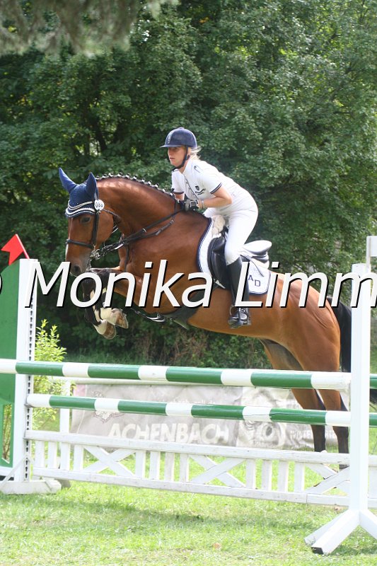 308M0385_Chacco De Semilly_Springpferde_L.JPG